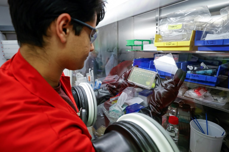 A LanzaTech employee works with bacteria that can convert gases such as CO2 into reusable chemicals in Skokie, November 28, 2022. (AFP - KAMIL KRZACZYNSKI)