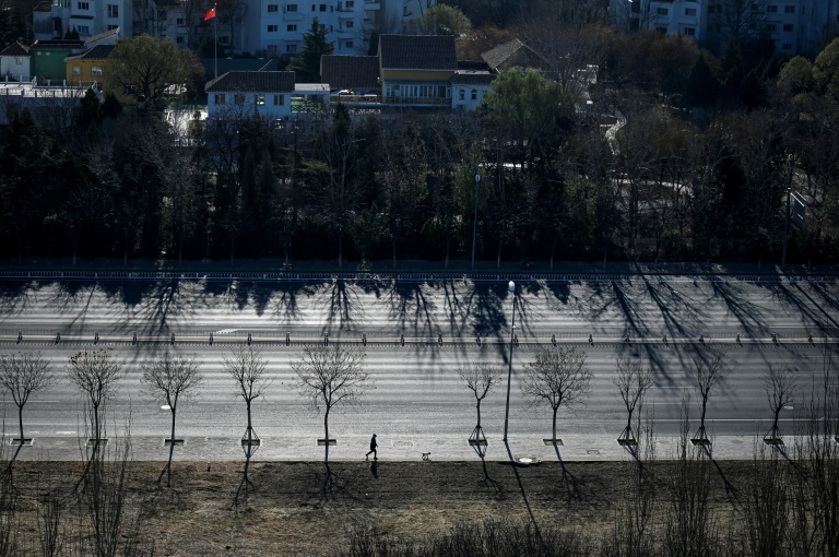 A man wearing a mask walks his dog in Beijing, December 1, 2022 (AFP/Archive - WANG Zhao)