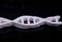 plastique adn biodegradable facilement recyclable