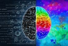 quotient emotionnel qi prediction reussite universite couv