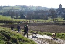 Actualités du sud de l'Aisne et de ses alentours