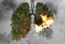 Amazon rainforest turned into carbon factory