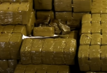 Echirolles: 1.6 kg of cannabis seized this Saturday - Tonic Radio, Hit & Pop Music