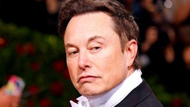 Elon Musk: crazy bird