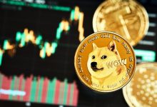 Tout ce que vous devez savoir sur la prochaine mise à jour 1.46.6 de DOGE qui promet de relancer le cours de la crypto