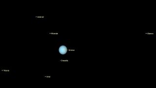 An illustration of where Uranus will appear in the night sky during December 2022.